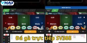 đá gà trực tiếp SV388
