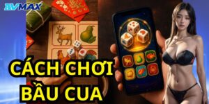 Cách chơi bầu cua