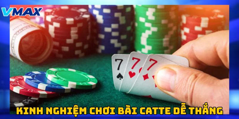 Kinh nghiệm chơi catte từ các cao thủ cá cược Kinh nghiệm chơi catte từ các cao thủ cá cược