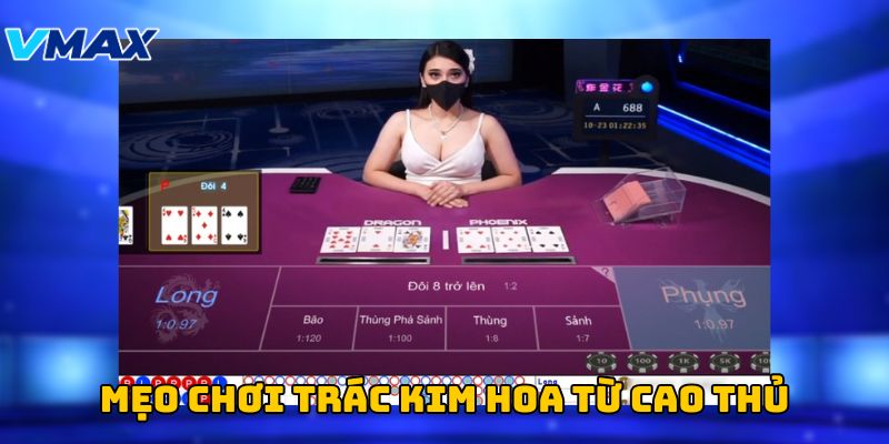 Mẹo chơi trác kim hoa từ cao thủ Mẹo chơi trác kim hoa từ cao thủ