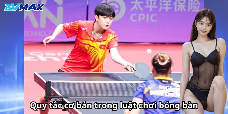Quy tắc cơ bản trong luật chơi bóng bàn Quy tắc cơ bản trong luật chơi bóng bàn